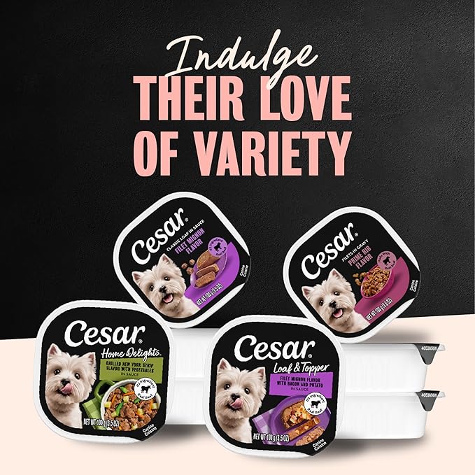 Cesar Adult Wet Dog Food Steak Lovers Variety Pack with Real Meat, 3.5 oz. Easy Peel Trays, 36 Count (Pack of 1)
