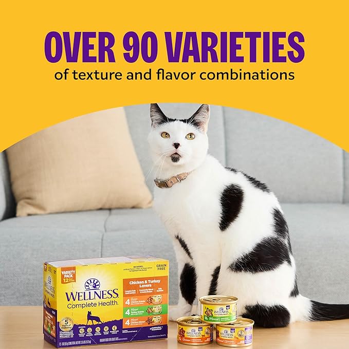 Wellness Complete Health Gravy and Minced Adult Wet Cat Food, Natural, Protein-Rich, Grain-Free, 3 Ounce, 12 Pack, (Chicken & Turkey Lovers Variety Pack)