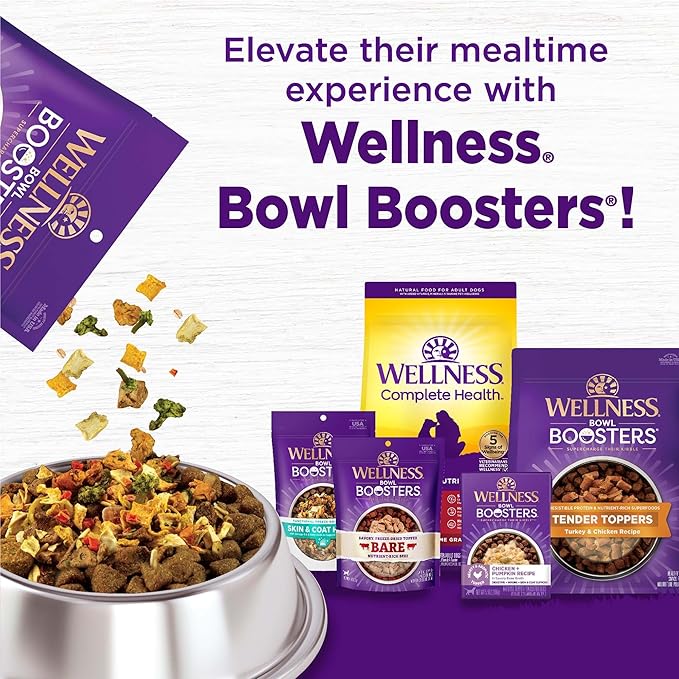 Wellness Complete Health Adult Dry Dog Food, Wholesome Grain Kibble, Natural, Beef and Barley Recipe, 5 lb Bag