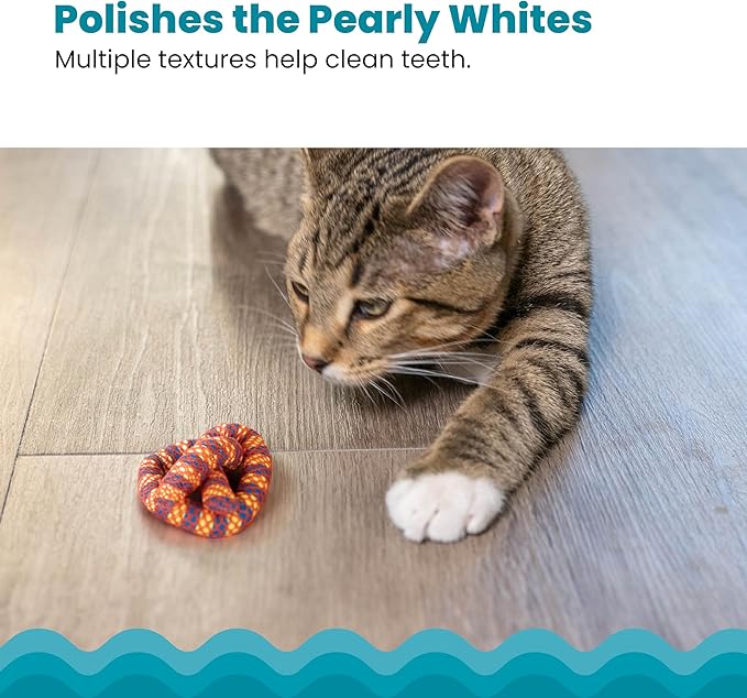 Catstages Plaque Away Pretzel Cat Toy – Interactive Catnip Dental Chew Toy to Help Clean Teeth,Fun for Play and Chewing,Orange,(Pack of 2)