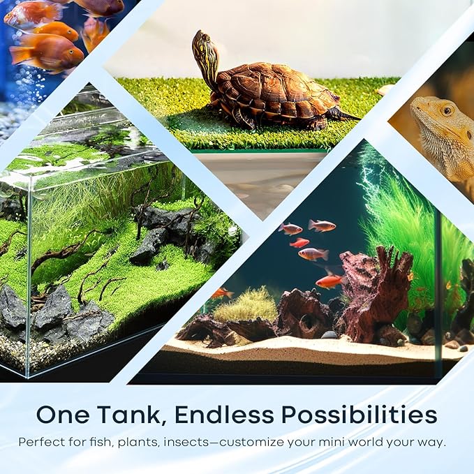 6 Gallon Glass Fish Tank 5 Gallon Open-Back Lid, Small Aquarium Fish Bowl Cube for Betta Goldfish Snails Shrimp Aquatic Planting, Ultra Clear Rimless Design Low Iron