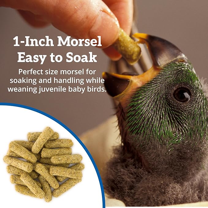 Scenic Hand Weaning Food | Macaw, Amazon, Cockatoo, African Grey, Amazon Parrots | Formulated Diet | 2 LB