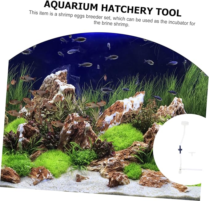 FRCOLOR 2sets Shrimp Hatchery Kit Complete Brine Shrimp Incubator Tool Accessories for Fish Breeding Includes Transparent Bottle Caps and Valves