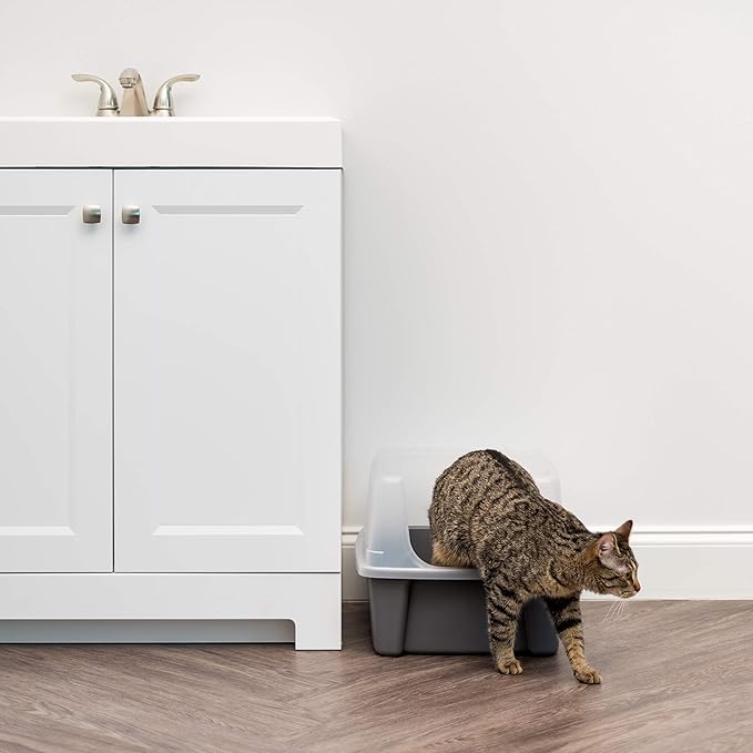 IRIS USA Large Cat Litter Box with Scatter Shield and Scoop, Open Top High Sided Cat Litter Pan, Gray