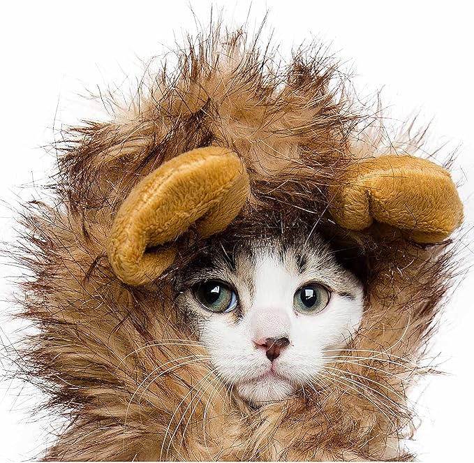 Pet Krewe Lion Mane Halloween Costume for Large and Small Dogs - Ideal for Halloween, Birthday, Cosplay, Outfits, Pet Clothes (Cat Small)