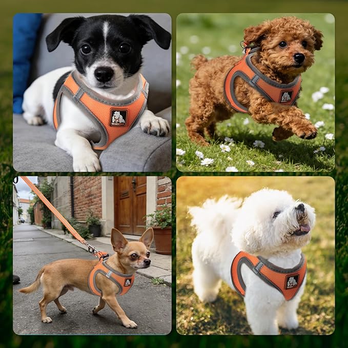 Dog Harness Medium Sized Dogs, Puppy Harness and Leash Set for Training, Running, Walking, Suitable for Small and Medium Dog Vest, Orange, XS