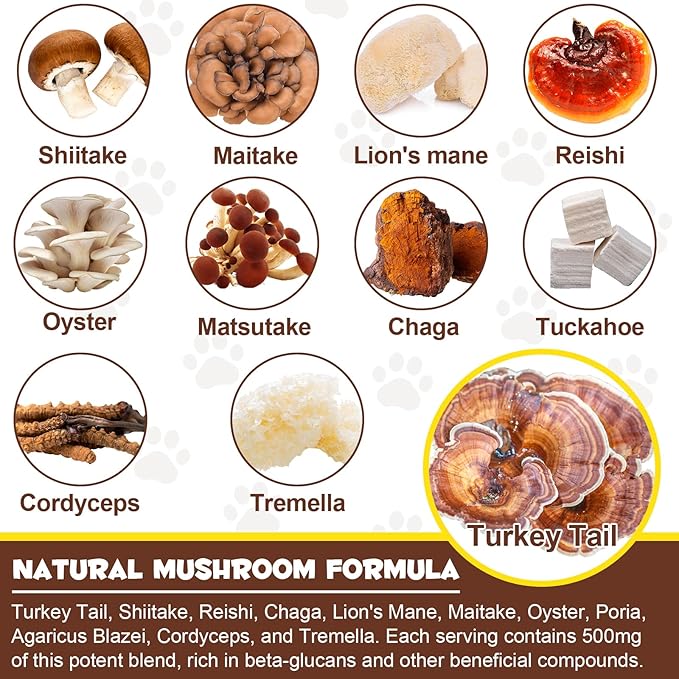 Mushroom Powder for Dogs & Cats, Natural Pet Supplement Mushroom Powder Support Immune, Heart, Brain & Liver with Turkey Tail, Reishi, Lion's Mane for Cellular Protection, Bacon Flavor - 4.23 oz(120g)