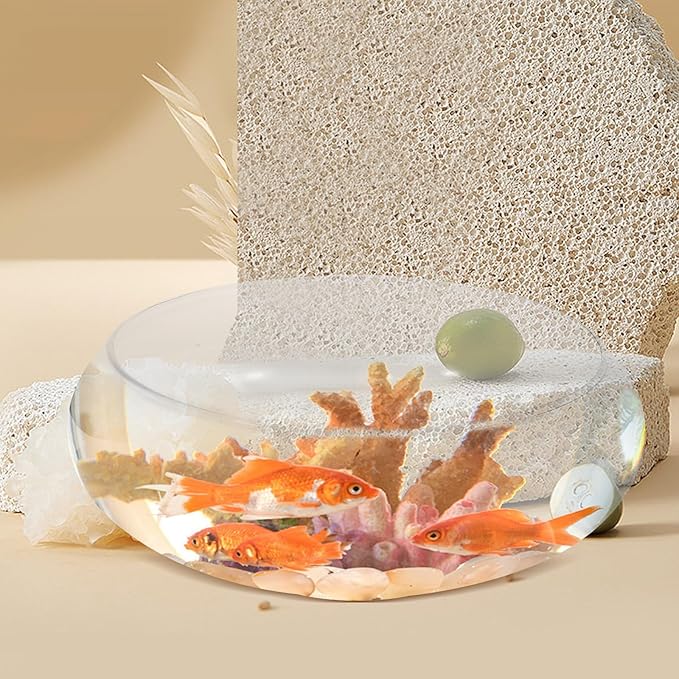BESPORTBLE Clear Fish Bowl Vase Bubble Bowl Wide Mouth Flower Vase Round Shallow Planter Terrarium Aquatic Plant Pot Daffodil Pot Hydroponic Planter Fish Tank Bowl