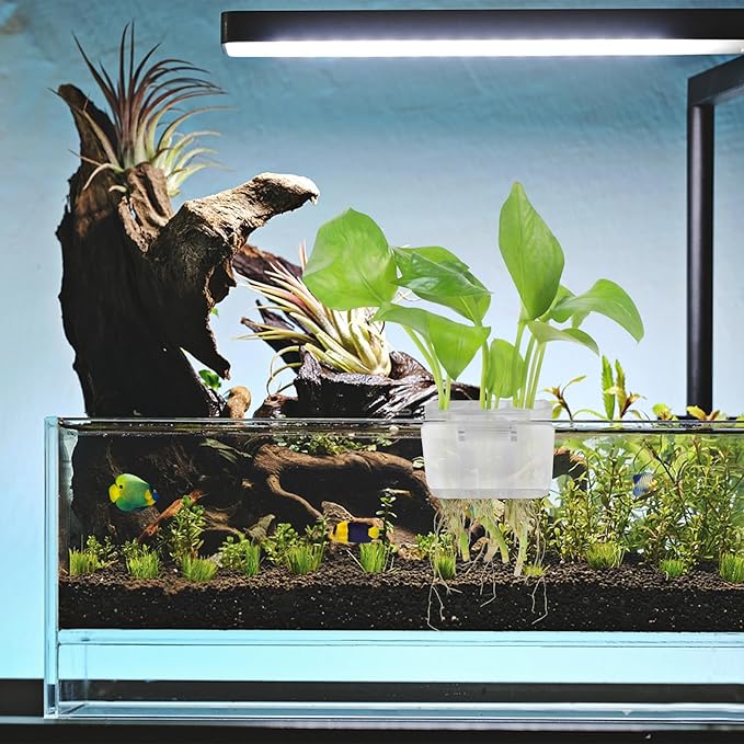 3 Holes Upgraded Aquatic Plant Cup Aquarium Plant Holder for Tank,Aquascape Accessories Decorations- White 2 Pcs