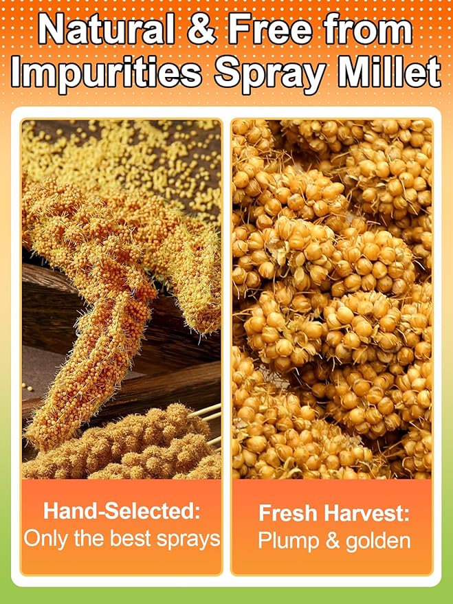 MEWTOGO Spray Millet & Cuttlebone Bird Treats Set - 1lb Hand Selected Golden Millet Treats for Parakeets Cockatiel Lovebirds Canaries Finches, Energy & Calcium Boost