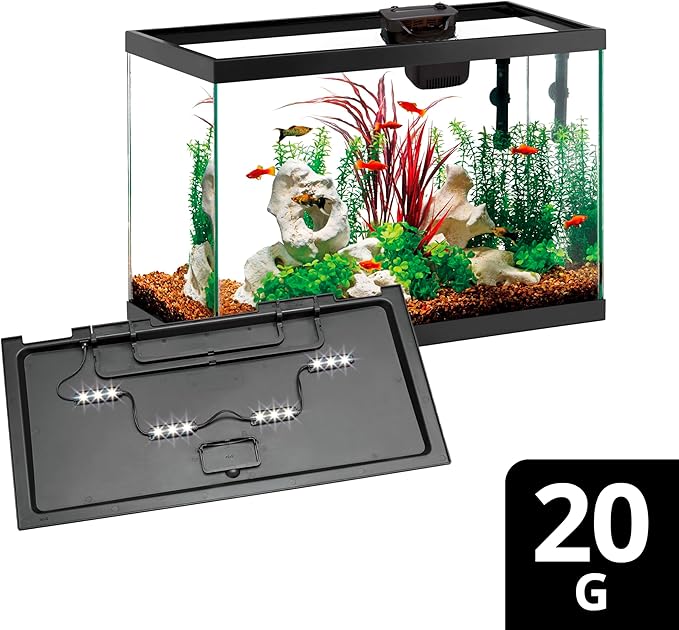 Aqueon Aquarium Starter Kit with Smart Clean Filtration and LED Lighting, Freshwater and Saltwater Fish, 20-Gallon