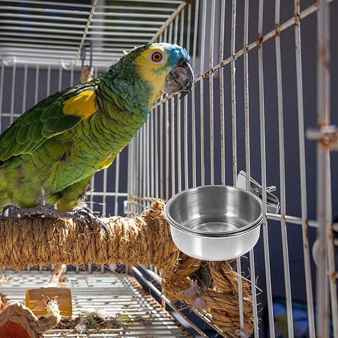 Beaupretty 3pcs Stainless Steel Bird Feeder Bowls with Water Cups 10cm Diameter for Parrot Cage Feeding and Watering Supplies