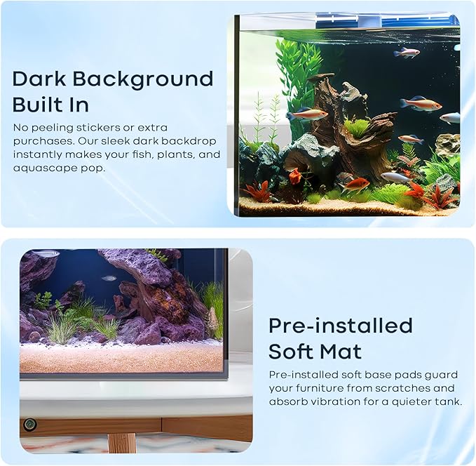 Wonderfactory 5 Gallon Small Aquarium Set Glass Fish Tank 6 Gallon, Starter Kit with Heater Water Pump Cleaning System Filter Bright Light Rocks Gravel Cleaning Tool, Clear Rimless Betta Plants