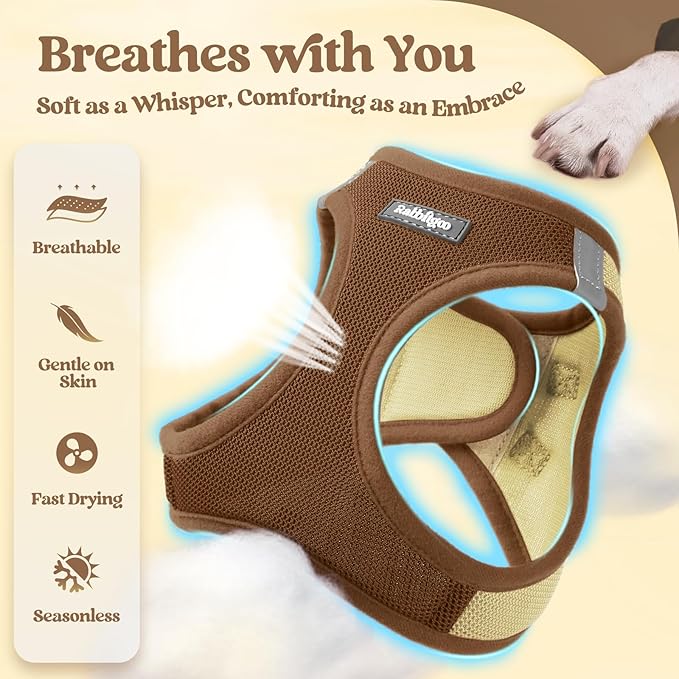 rabbitgoo Dog Harness Small Sized and Leash Set, Step in Soft Light Puppy Vest, Breathable Mesh Pet Harness, Reflective for Safe Easy Walking, Brown & Beige XXS