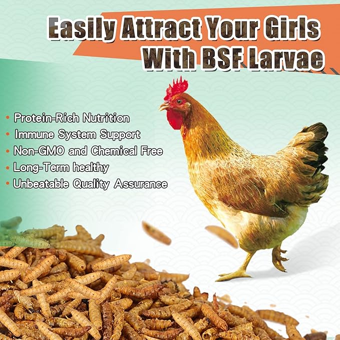 5LBS Black Soldier Fly Larvae for Chickens - Premium Dried BSFL Treats with 52% Protein & Calcium Boost - Superior Alternative to Mealworms - Resealable Bulk Bag for Hens & Bluebirds