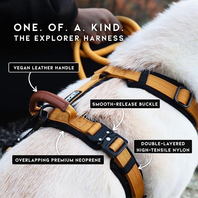 MADE TO ROAM Premium Explorer Harness - Y-Shaped Dog Harness with Adjustable Durable Nylon, Soft Padding, Metal Buckles and Leather Handle for Small, Medium, Large Dogs (Utah Glow, Size 1)