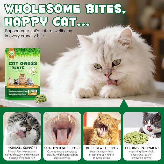 Cat Grass Treats, Cat Treats for Indoor Cats, Promotes Natural Hairball Passage, Reduce Plaque Build-Up Support Fresh Breath, Cats Dental Care Bites Kitten Snacks Training Biscuits, Catnip Flavour