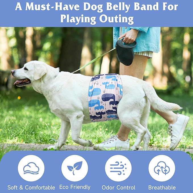 5 Pack Dog Diapers Male Reusable, Premium Belly Bands for Dogs, High Absorbing Male Dog Pee Wraps for Doggie in Incontinence or Excitable Urination,Squirrel XL