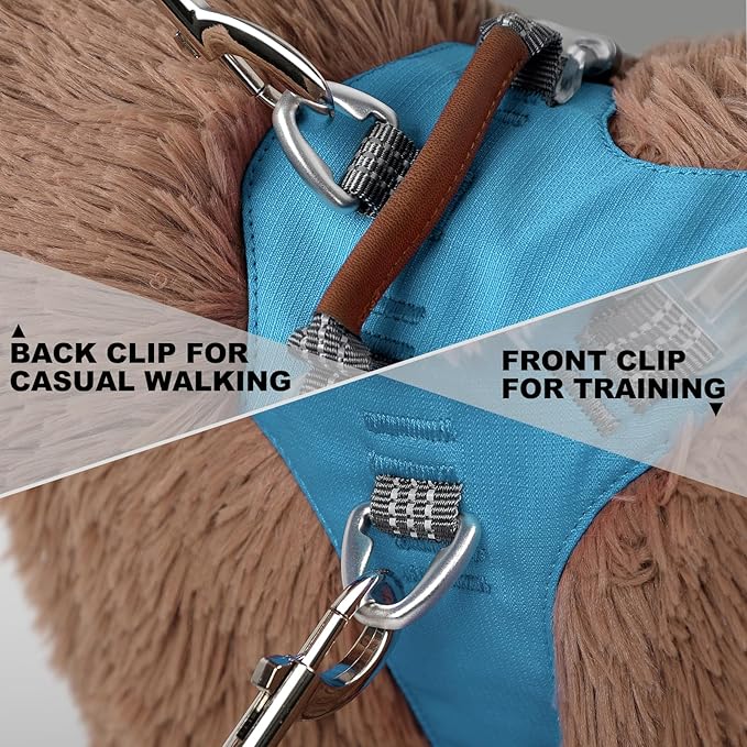 No Pull Dog Harness – Adjustable Reflective Nylon Vest for Small Medium Large Dogs, Escape Proof Training Harness with Leather Control Handle, Lightweight Aluminum Hardware (Cyan, M)