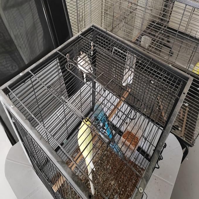 Spacious Metal Bird Cage with Pull-Out Tray, Carry Handles, Transparent Cups, Wooden Perches, Easy to Clean Bird Cage for Parakeets, Canaries, Cockatiels, Lovebirds, Conures, Budgies, 45x45x60cm