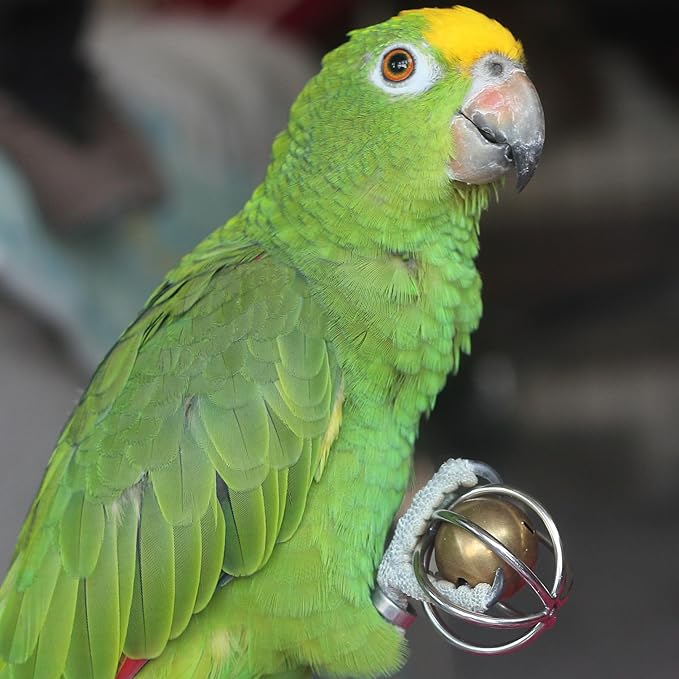 Heavy-Duty Stainless Steel Large Parrot Toy — Chew-Proof Foraging Ball (with Bell), Suitable for Macaws, Eclectus Parrots, Amazon Parrots, etc. (Medium)