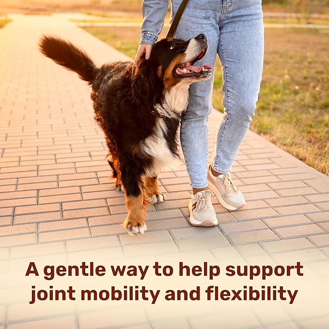 Badlands Ranch Super Mobility Soft Chews for Dogs – Superfood Blend with Glucosamine, Chondroitin & Eggshell Membrane – 60 Soft Chews
