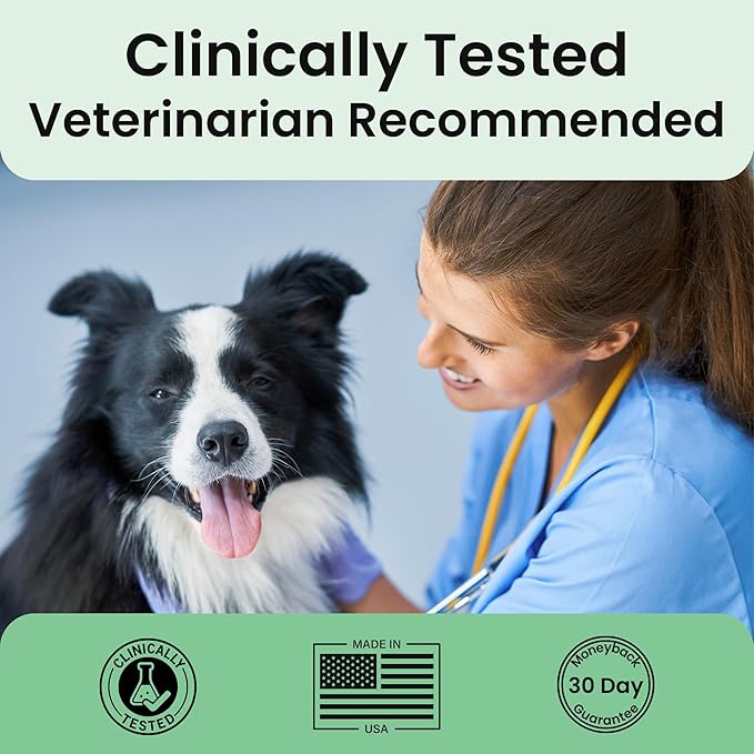 Extend Joint Care for Dogs Beef Flavored Joint Supplement Powder Packets with Glucosamine, Chondroitin, MSM & Collagen, Hip & Joint Support, Mobility & Cartilage Health, Daily Dog Supplement, 60 Count