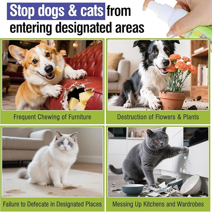 2PCS Pet Deterrent Spray - Stops Cat & Dog Peeing, Chewing, Scratching, Natural Citrus & Lemon Formula, Safe, Stain-Free Pee Corrector for Furniture, Shoes Indoor & Outdoor Training (2 Count)