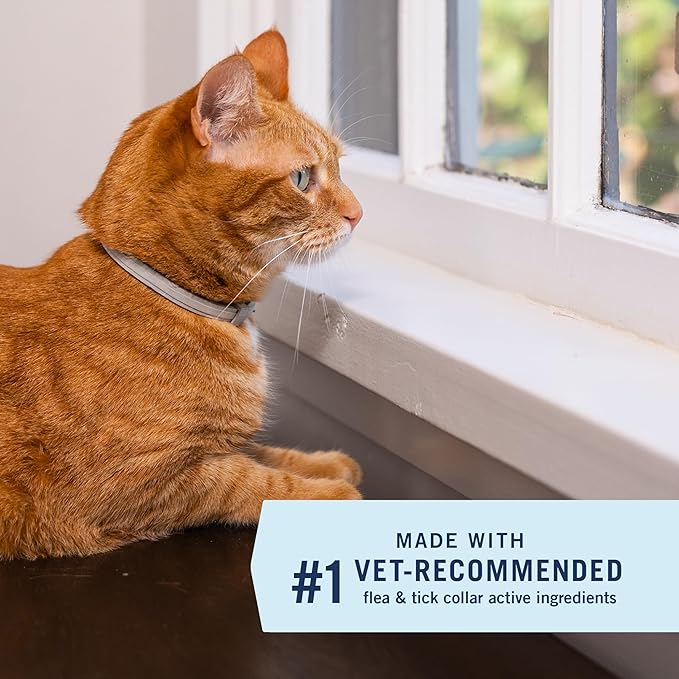 PetArmor Extend Flea & Tick Treatment & Prevention Collar for Cats, 8 Months of Protection, Waterproof, Kills Fleas, Ticks, and Flea Larvae, 2 Count
