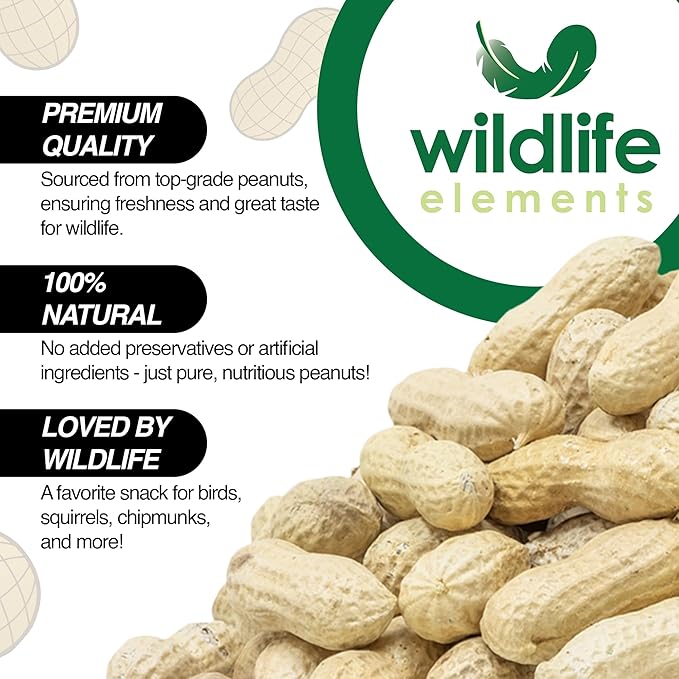 Peanut Party Unprocessed, Raw in-Shell Peanuts Wildlife Animal Food, 10lb - Rich in Protein, Healthy Fats, and Essential Nutrients for Birds, Squirrels and Waterfowl