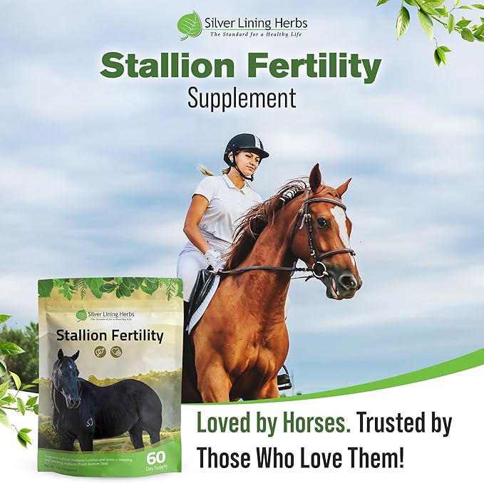 Silver Lining Herbs Stallion Fertility Supplements a Natural Libido & Energy Horse Supplement for Male Horses Help Keeps Stallions in Top Breeding Condition - Equine Herbal Horse Supplements - 1 lb