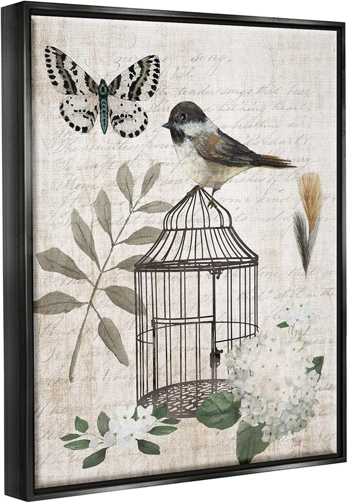 Stupell Industries Botanical Bird Cage Vintage Words Butterfly Motif Floating Framed Wall Art, Design By Nan