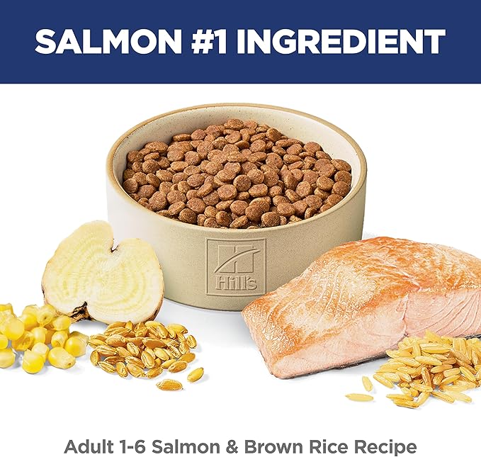 Hill's Science Diet Adult 1-6, Adult 1-6 Premium Nutrition, Dry Cat Food, Salmon & Brown Rice, 15 lb Bag