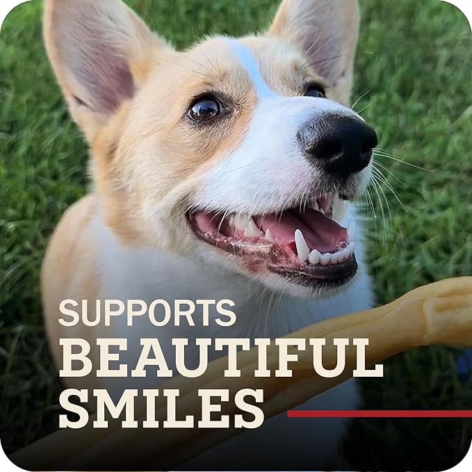 Redbarn Pet Products Natural Small Collagen Sticks for Dogs - Long Lasting Alternative to Traditional Rawhide & Bully - Supports Joint, Skin, & Coat Health - Case of 25