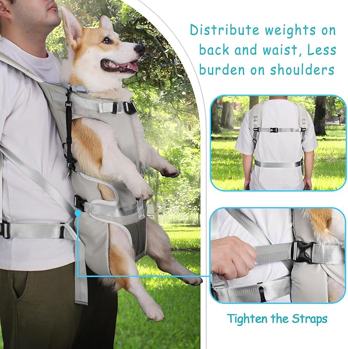PetBonus Pet Front Dog Carrier Backpacks, Adjustable Pet Backpack, Legs Out Easy-fit Puppy Chest Carrier for Medium Small Dogs, Hands Free for Hiking, Cycling (Grey, XL)