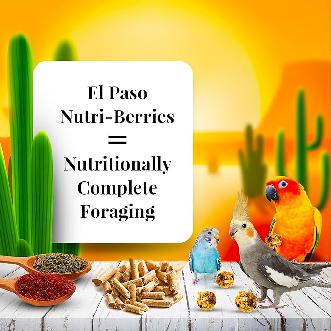 LAFEBER'S El Paso Nutri-Berries Pet Bird Food, Made with Non-GMO and Human-Grade Ingredients, for Small Birds, 10oz (Pack of 2)