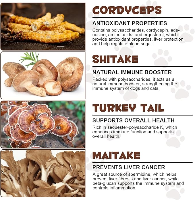 Mushroom Powder for Dogs & Cats, Natural Pet Supplement Mushroom Powder Support Immune, Heart, Brain & Liver with Turkey Tail, Reishi, Lion's Mane for Cellular Protection, Bacon Flavor - 4.23 oz(120g)