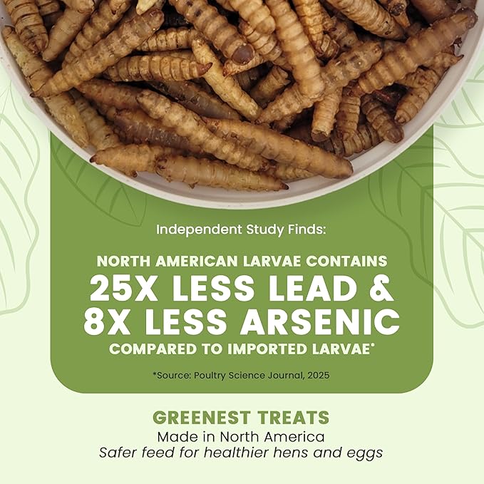 Black Soldier Fly Larvae for Chickens & Ducks – 2lb Dried Worms & Grubs – High Protein & Calcium Mealworms Alternative – Dried Black Fly Larvae – Non-GMO, Farmed in North America