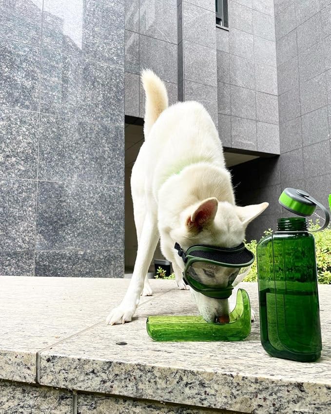 OllyDog OllyBottle | Tritan Dog Water Bottle with Detachable Bowl | BPA Free Leakproof Pet Dispenser | Hiking Travel (1L, Grass)