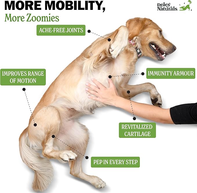 Deley Naturals Hip and Joint Supplement for Dogs - Glucosamine for Dogs with MSM, Chondroitin and Collagen Supplements - Joint Support for Mobility, Flexibility and Comfort - 120 Chicken Flavor Chews