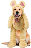 Rubies Walking Teddy Bear Pet Costume for Dogs or Cats, Large