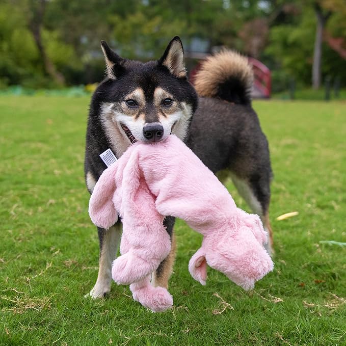 Best Pet Supplies Squeaky Dog Toys with Soft Durable Fabric for Small, Medium and Large Pets Interactive Toy for Indoor Play, Supports Active Biting and Play - Pig, Small