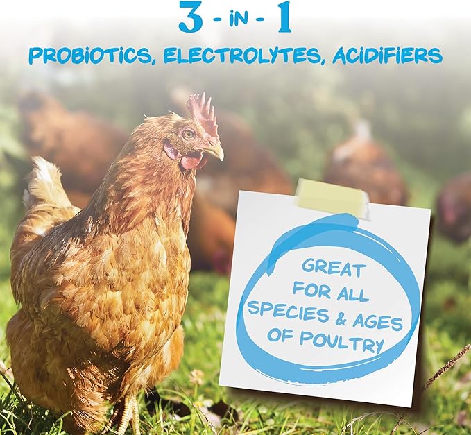 Manna Pro Hydro-Hen Poultry Electrolyte & Probiotic Supplement, Hydration Support for Chickens, Ducks, Turkeys & Waterfowl, 8 oz