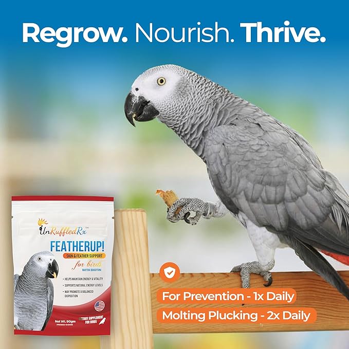 UnRuffledRx FeatherUp! Bird Molting Support & Feather Growth Supplement - for Plucking, Regrowth & Molt - Multivitamin & Amino Acids for All Birds - 90g (240 Servings)