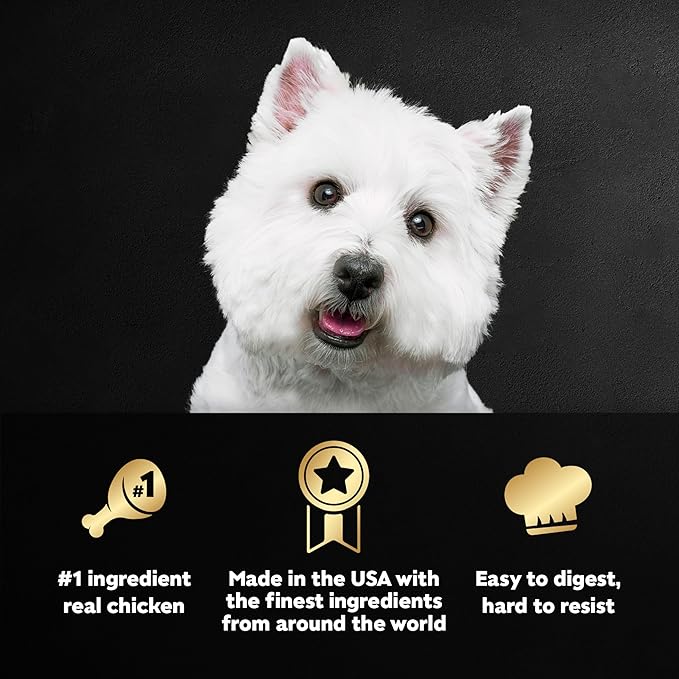 Cesar Filets in Gravy, Adult Wet Dog Food, Rotisserie Chicken Flavor, Wet Food for Dogs, 3.5 oz Trays, 24 Count (Pack of 2)