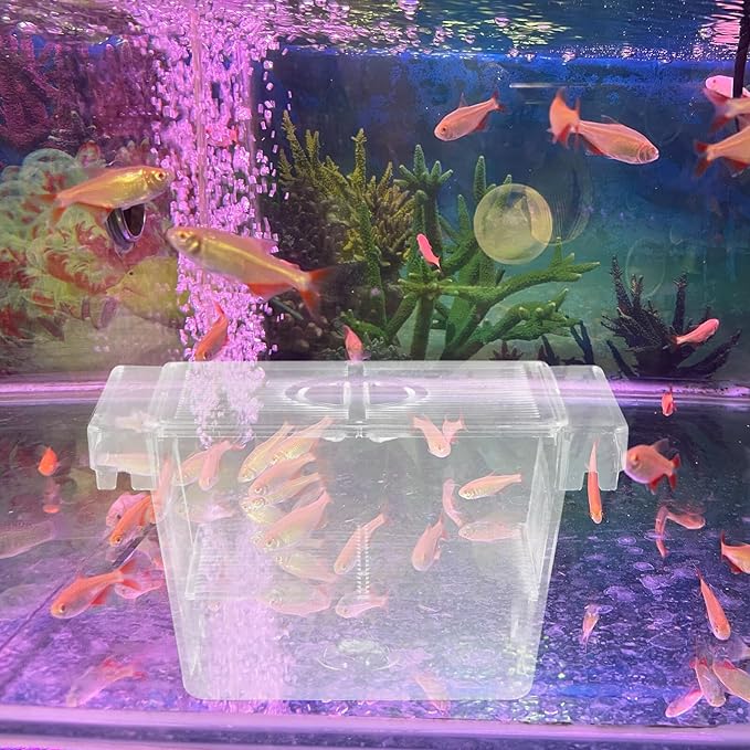 Fish Incubator Box with Divider Aquarium Breeding Hatchery for Betta Isolation, Aquarium Overflow and Nursery Box for Fish in Home Tanks