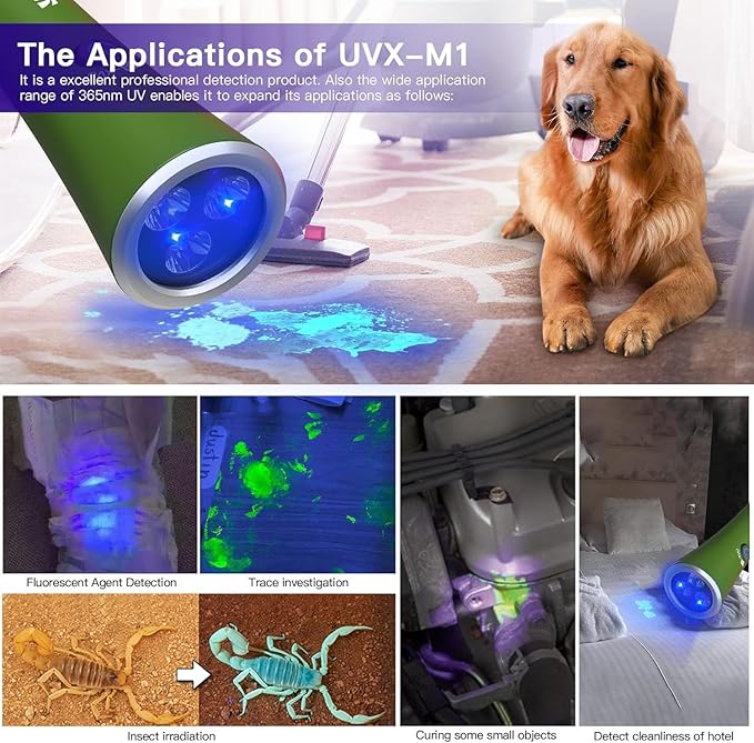UV Flashlight Black Light, 365nm Blacklight Pet Urine Detector, Rechargeable Blacklight Flashlight for Dog/Cat Urine Stains, Bed Bug, Resin Curing, Scorpions Finder, Green