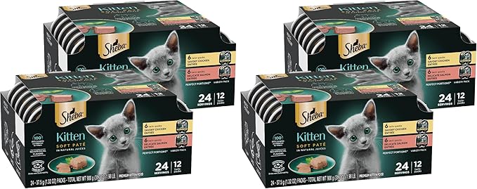 Sheba Perfect Portions Kitten Wet Food,Pate Cat Food Wet Entree,Chicken Recipe and Salmon Recipe,2.6 oz. -Pack Trays (,24 Servings),12 Count (Pack of 4)