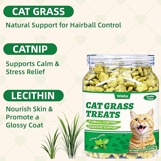 Wellix 13.05oz Organic Cat Grass Treats with Catnip & Salmon - Healthy Cat Treats for Indoor Cats - Hairball Control & Digestive Support - Kittens Training Snacks for Teeth Cleaning