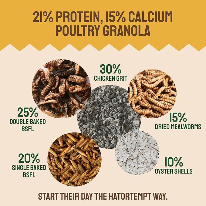 Hatortempt Chicken Feed Supplement - High-Protein Foraging Mix - Poultry Treats for Chickens - Calcium-Rich Poultry Grit for Shell Support - Dried Mealworms & Grubs for Enrichment - Bird Food (5lb)
